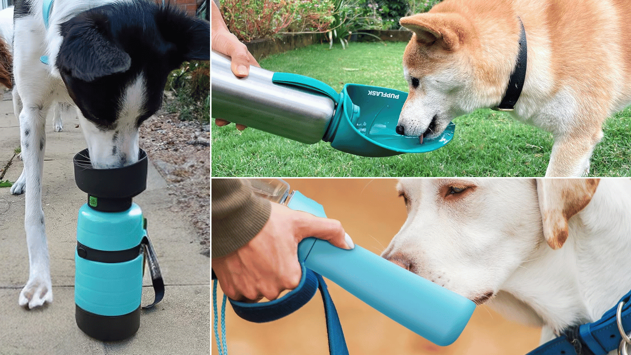 Dog Travel Water Bottle