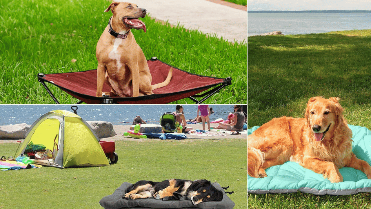 Travel Dog Bed