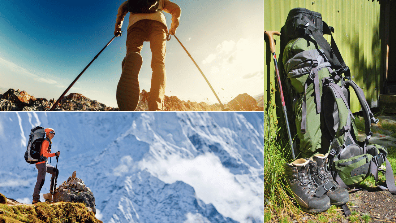 Best Hiking Poles