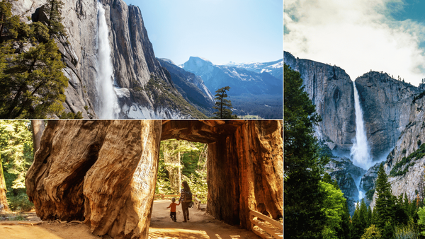 Where is Yosemite National Park? Exploring A Bucket-List Destination